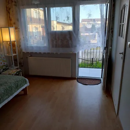 Pod świerkami